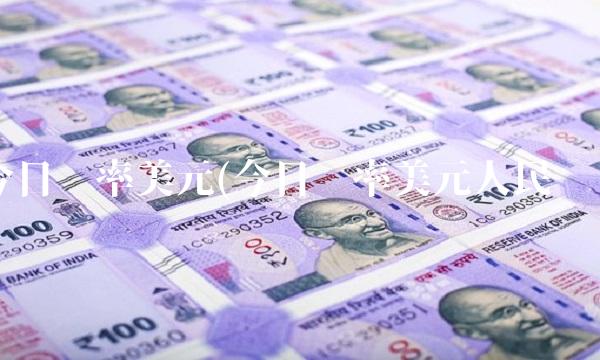 今日汇率美元(今日汇率美元人民币)