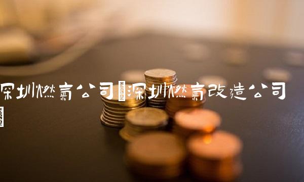 深圳燃气公司(深圳燃气改造公司)