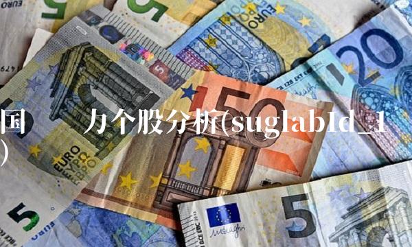 国电电力个股分析(suglabId_1)