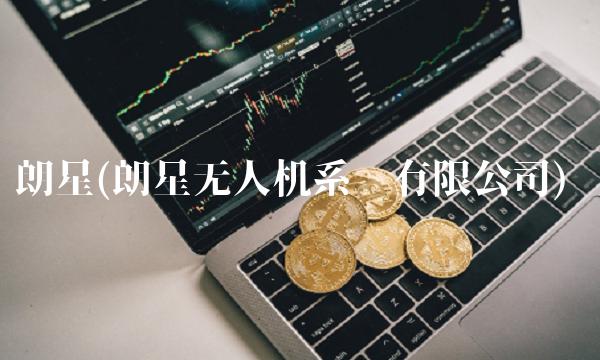 朗星(朗星无人机系统有限公司)