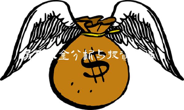易基基金分析与投资建议