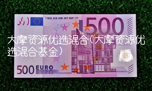 大摩资源优选混合(大摩资源优选混合基金)