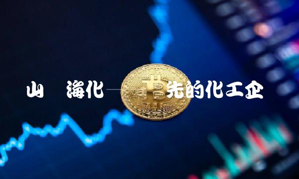 山东海化——领先的化工企业