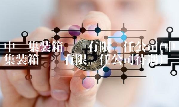 中铁集装箱运输有限责任公司(中铁集装箱运输有限责任公司待遇)