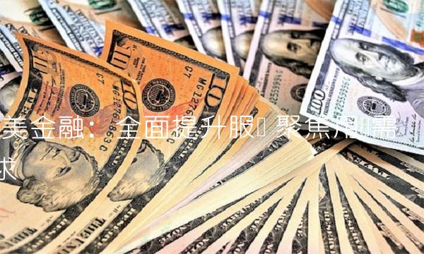 国美金融：全面提升服务 聚焦用户需求