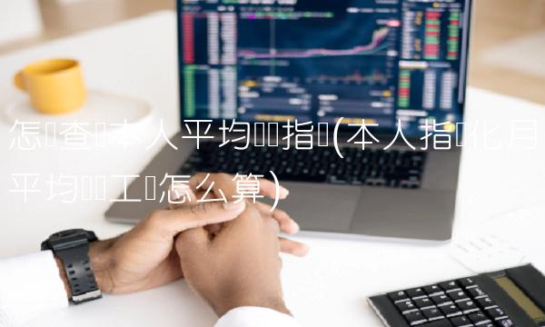 怎样查询本人平均缴费指数(本人指数化月平均缴费工资怎么算)