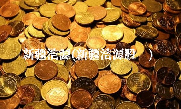 新疆浩源(新疆浩源股吧)
