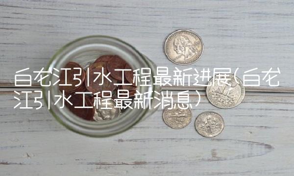 白龙江引水工程最新进展(白龙江引水工程最新消息)