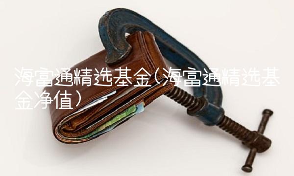 海富通精选基金(海富通精选基金净值)(1)