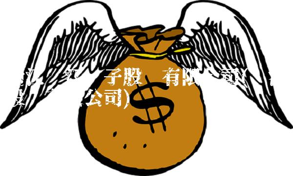 浙江银江电子股份有限公司(银江股份有限公司)