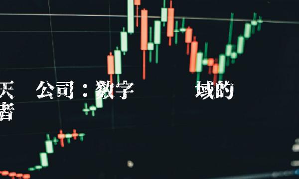 天鸿公司：数字营销领域的领跑者