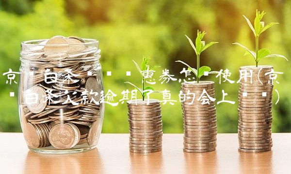 京东白条块钱优惠券怎么使用(京东白条欠款逾期了真的