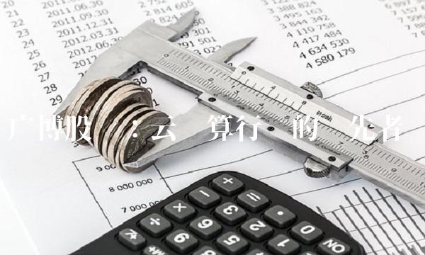 广博股份：云计算行业的领先者