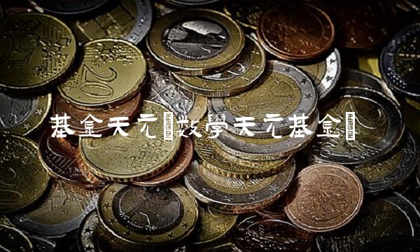 基金天元(数学天元基金)