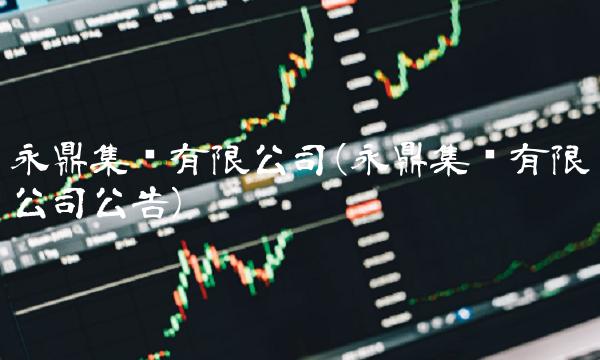 永鼎集团有限公司(永鼎集团有限公司公告)