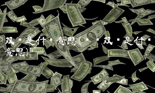 双录是什么意思(车险双录是什么意思)