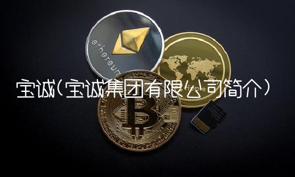 宝诚(宝诚集团有限公司简介)