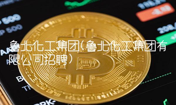 鲁北化工集团(鲁北化工集团有限公司招聘)