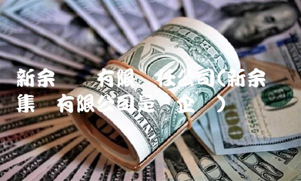 新余钢铁有限责任公司(新余钢铁集团有限公司是国企吗)