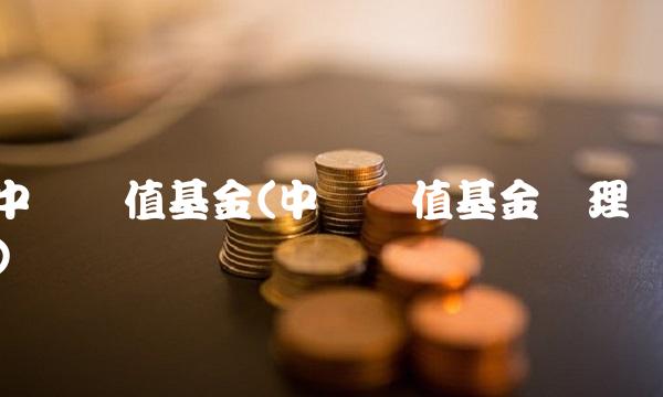 中欧价值基金(中欧价值基金经理)