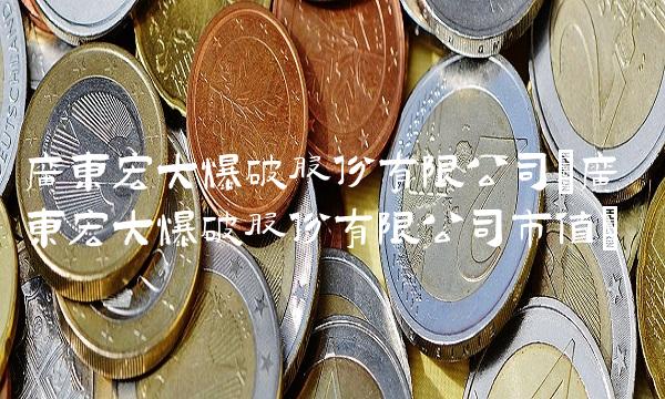 广东宏大爆破股份有限公司(广东宏大爆破股份有限公司市值)