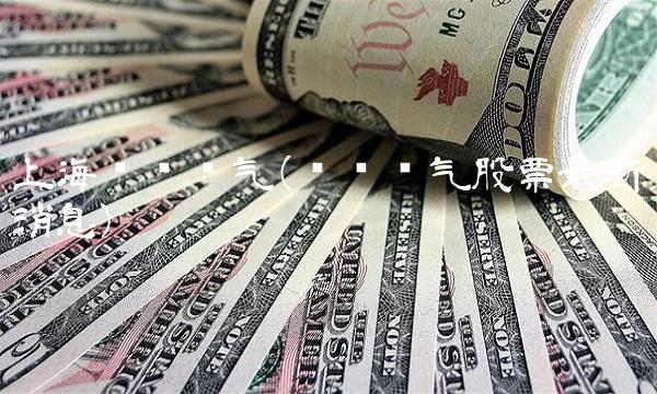 上海华仪电气(华仪电气股票最新消息)