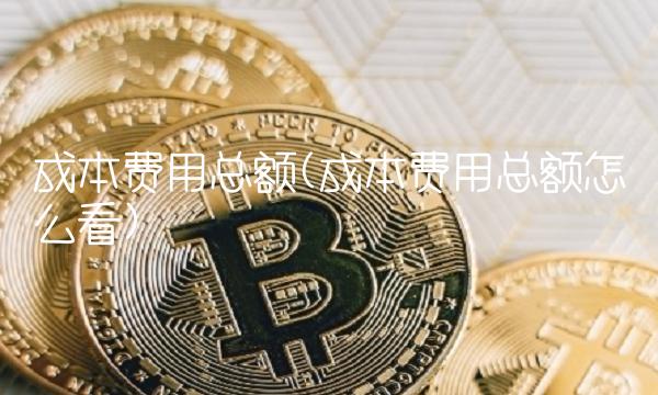 成本费用总额(成本费用总额怎么看)