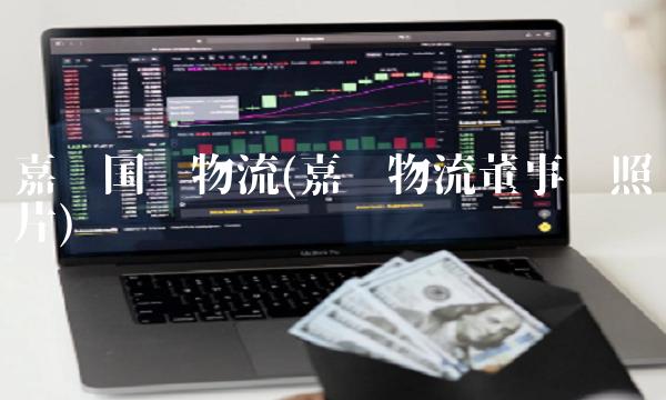 嘉诚国际物流(嘉诚物流董事长照片)