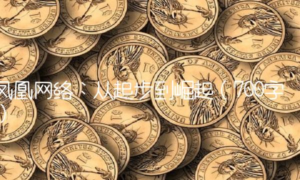 凤凰网络：从起步到崛起（700字）
