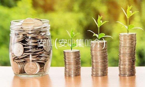 安费诺(安费诺集团简介) 安费诺(安费诺集团简介)