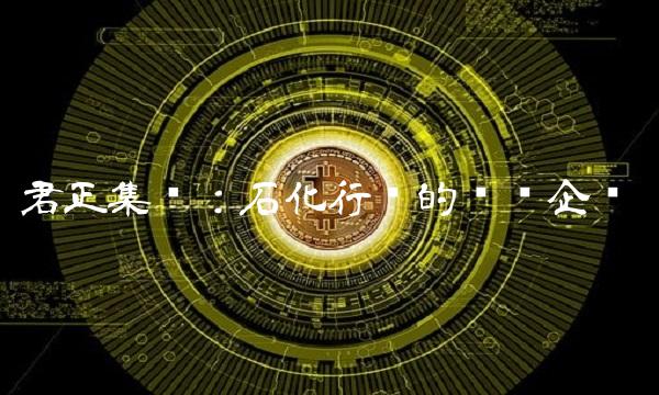 君正集团：石化行业的领军企业