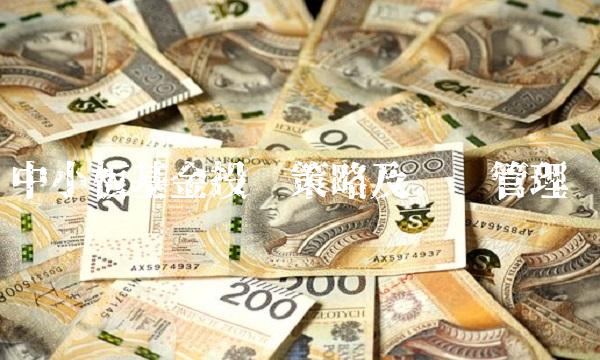 中小板基金投资策略及风险管理