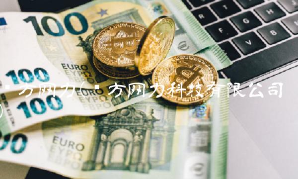 东方网力(东方网力科技有限公司)