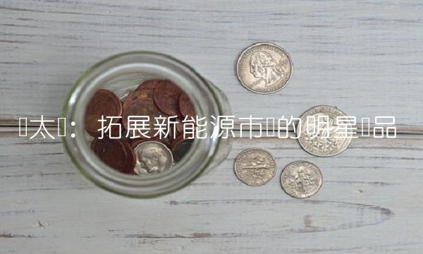 红太阳：拓展新能源市场的明星产品