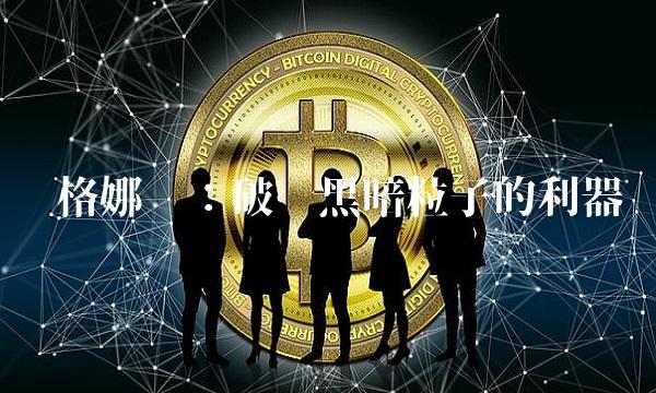 维格娜丝：破译黑暗粒子的利器