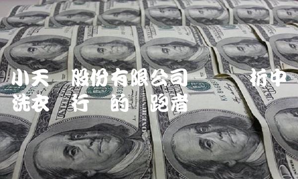 小天鹅股份有限公司——浅析中国洗衣机行业的领跑者