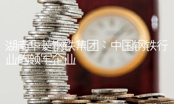 湖南华菱钢铁集团：中国钢铁行业的领军企业(1)