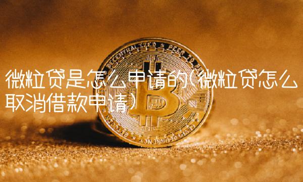 微粒贷是怎么申请的(微粒贷怎么取消借款申请)