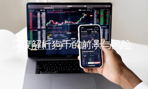 深度解析狗币的前景与风险