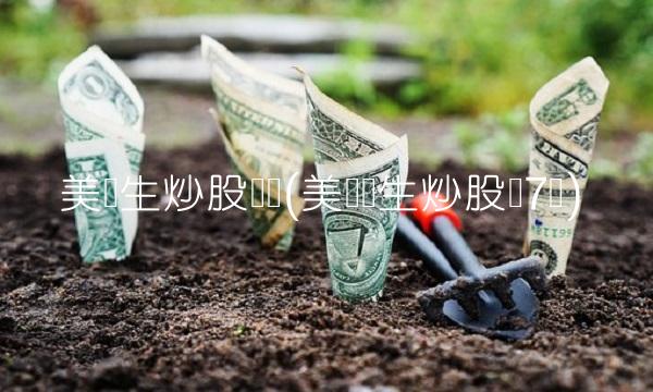 美学生炒股赚亿(美国学生炒股赚7亿)