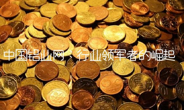 中国铝业网：行业领军者的崛起