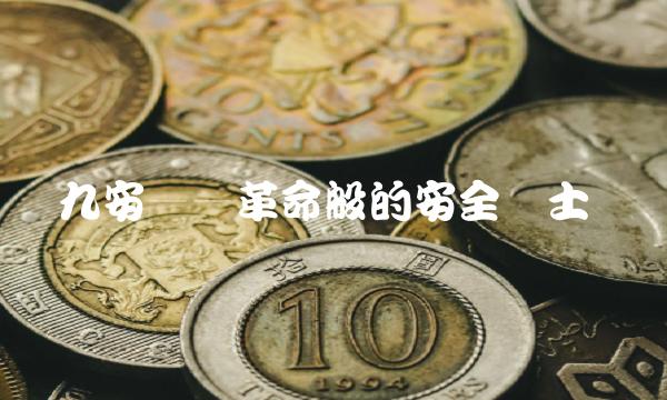 九安——革命般的安全卫士