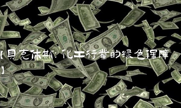 【贝克休斯：化工行业的绿色保障】