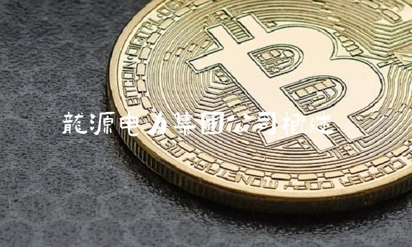 龙源电力集团公司概述