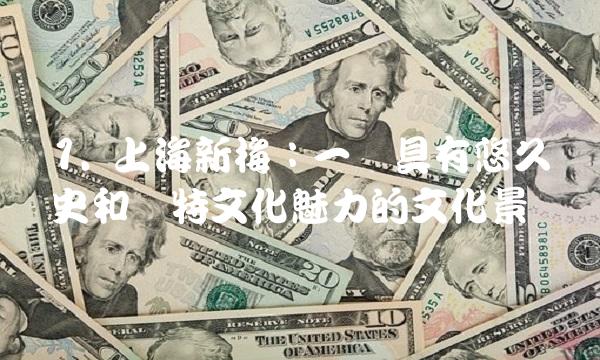 1. 上海新梅：一个具有悠久历史和独特文化魅力的文化景区