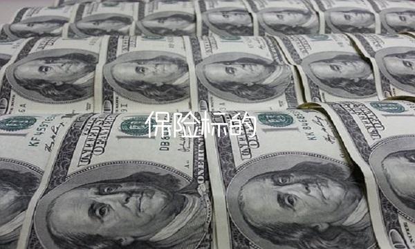 保险标的