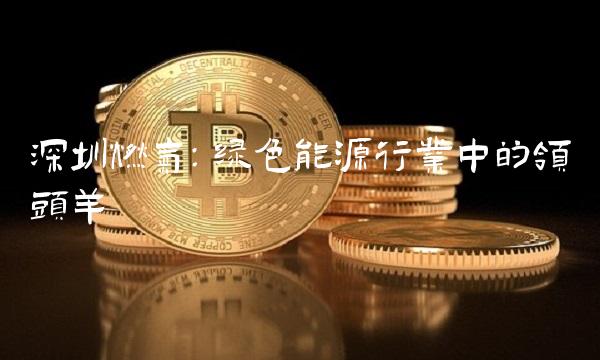 深圳燃气：绿色能源行业中的领头羊