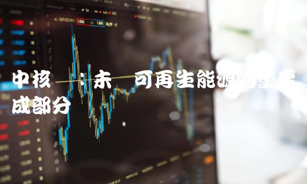 中核电：未来可再生能源的重要组成部分
