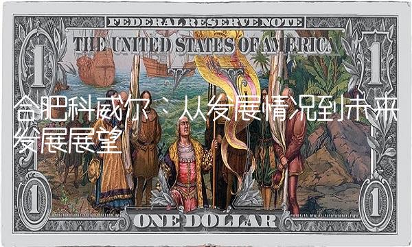 合肥科威尔：从发展情况到未来发展展望