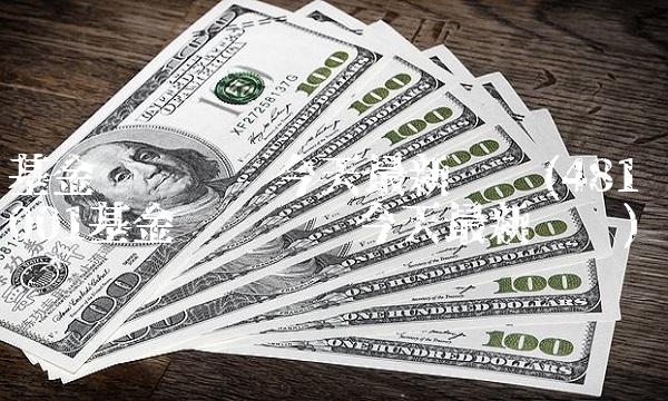 基金净值查询今天最新净值(481001基金净值查询今天最新净值)